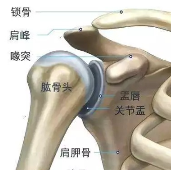 肩關節(jié)系統(tǒng)-肱骨柄comprehensive fracture shoulder system